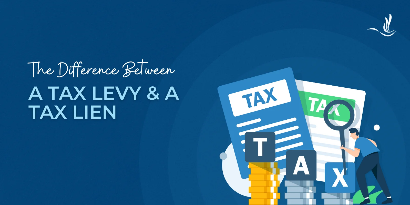 tax lien vs levy